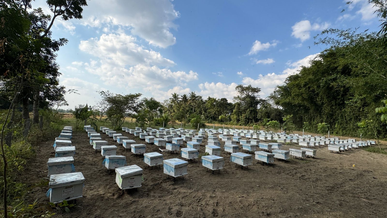 मधेपुरा डीएम ने रामगंज परियोजना को बताया उत्तर बिहार का उत्कृष्ट मॉडल, CSIR–NBRI और रामालय फाउंडेशन की पहल को सराहा